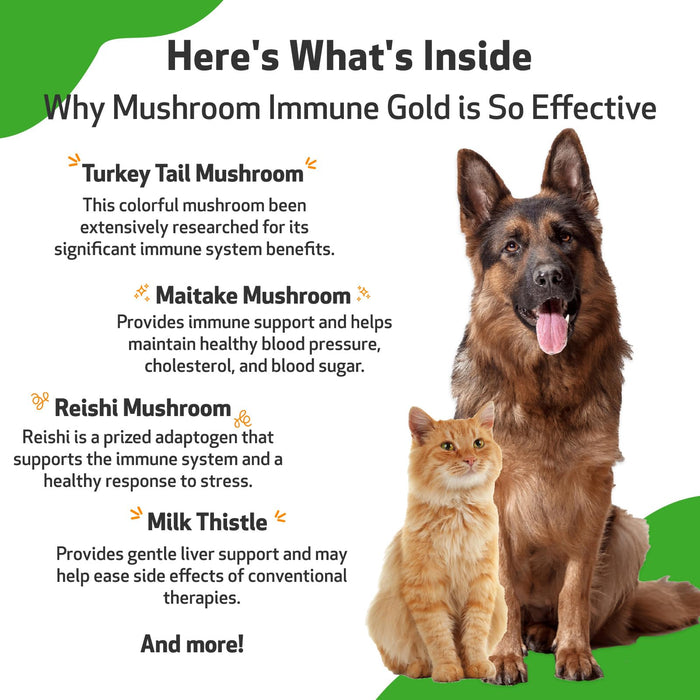 Pet Wellbeing - Mushroom Immune Gold - Natural Alternative Immune Support for Dogs and Cats - 8oz (237ml).