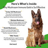 Pet Wellbeing - Mushroom Immune Gold - Natural Alternative Immune Support for Dogs and Cats - 8oz (237ml).