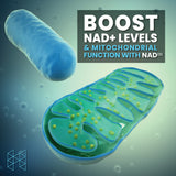 HPN NAD+ Booster – Nicotinamide Riboside Alternative (NAD3) for Men & Women | Anti Aging NRF2 Activator, 312 mg per Serving – Natural Energy Supplement for Longevity & Cellular Health, 30 Veggie Pills