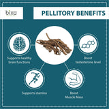 bixa BOTANICAL Pellitory Root Powder (Anacyclus pyrethrum/Akarkara) | Supports Healthy Nervine Functions 7 Oz (200g) |