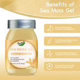 QANLOI Sea Moss Gel Organic Raw-Sea Moss Advanced Superfood-Organic Sea Moss Supplement-Gut Health-15OZ Original Sea Moss Gel