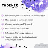 ThorneVET B ComplexVET – Vitamin B Complex Support for Dogs, Cats & Horses, 60 Soft Chews