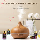 MAYJAM Top 28 Essential Oil Set for Diffuser Massage, 24x5ml Essential Oil Singles, 4x10ml Essential Oil Blends for Home Office Yoga