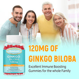 Zetelixia 2 Pack Ginkgo Biloba Gummies 120mg for Women & Men, Brain Supplement Improve Better Mood & Focus, Vegan, Non-GMO, Sugar Free Raspberry Flavor, 120 Count