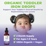 Iron Supplement for Toddlers | Liquid Iron Supplement for Children Ages 1-3 | Iron Supplement for Iron Deficiency | Ferrochel | Sugar Free | Vegan | Non-GMO | Gluten Free | 2 Fl Oz