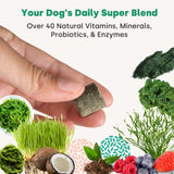 Doggie Greens - Supergreens & Probiotics for Dogs. No Messy Powder. Natural Vitamin & Mineral Supplement for Dogs. Includes Spirulina, Kelp & Antioxidant Berry Mix. Great for Homemade Food.