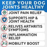 Liquid Glucosamine for Dogs - 16 Fl Oz Easy to Serve Joint Pain Relief Supplement - Advanced Formula with Chondroitin, MSM, Collagen - Hip & Joint Care - Made in USA