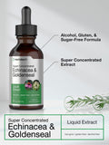 Horbaach Echinacea Goldenseal Liquid Extract | 2 fl oz | Alcohol Free Tincture Drops | Vegetarian, Non-GMO, Gluten Free