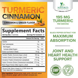 Turmeric Curcumin Gummies 95% Curcuminoids with Cinnamon, Ginger & Black Pepper Extract for Max Absorption Joint Support Supplement, Nature's Herbal Turmeric Gummy Pills, Vegan Non-GMO - 60 Gummies