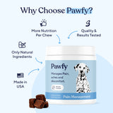 Pawfy Pain Relief Soft Chews | Fast Pain Relief | Natural Aspirin | Anti-Inflammatory | Recovery | Made in USA | with Willow Bark & Cat's Claw