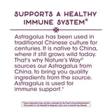 Nature's Way Premium Astragalus Root Extract, Immune Support*, 60 Capsules