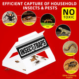 Roach & Spider Glue Traps Indoor 36 Pcs Insect Sticky Traps for Killing Cockroach Bug Ant Silverfish Cricket Brown Recluse Spider, Home Safe Pest Killer Control to Kids & Pets, Non Toxic & Harmless