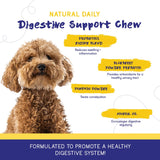 PupGrade Digestive Support Chews for Dogs - Prebiotic and Probiotic Supplement with Enzyme Blend - Upset Stomach, Diarrhea, Bowel, and Immune Support - Pumpkin, Blueberry, Mineral Oil - 60 Soft Chews