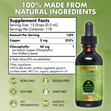 Go Nutrients Liquid Chlorophyll, Mulberry Derived Supplement, Chlorophyll Liquid Drops for Internal Deodorant, Energy, Digestion & Skin, Mint Flavor, Non-Diluted, 2oz | 118 Servings