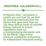 Nature's Way Premium Herbal Parsley Leaf Provides Chlorophyll, 100 Vegan Capsules (Pack of 2)