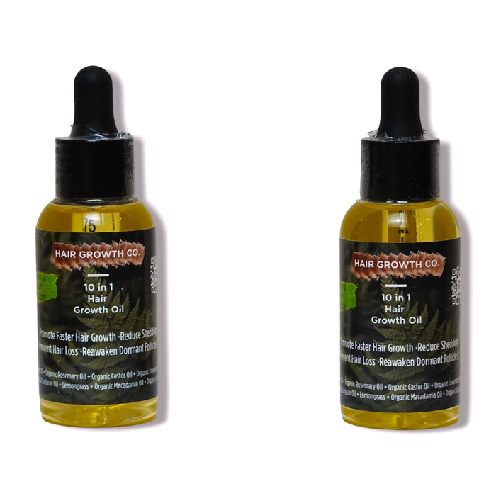 (2-Pack) 10 in 1 Hair Growth Oil (2 Oz) | Formulated With African Chebe Powder For Extreme Hair Growth, 2 Fl Oz (Pack of 1), 2.0 ounces