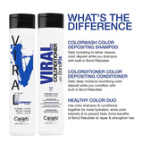 Celeb Luxury Viral Colorwash, Professional Semi-Permanent Hair Color Depositing Shampoo, Blue, 8.25 Fl Oz (Pack of 1)