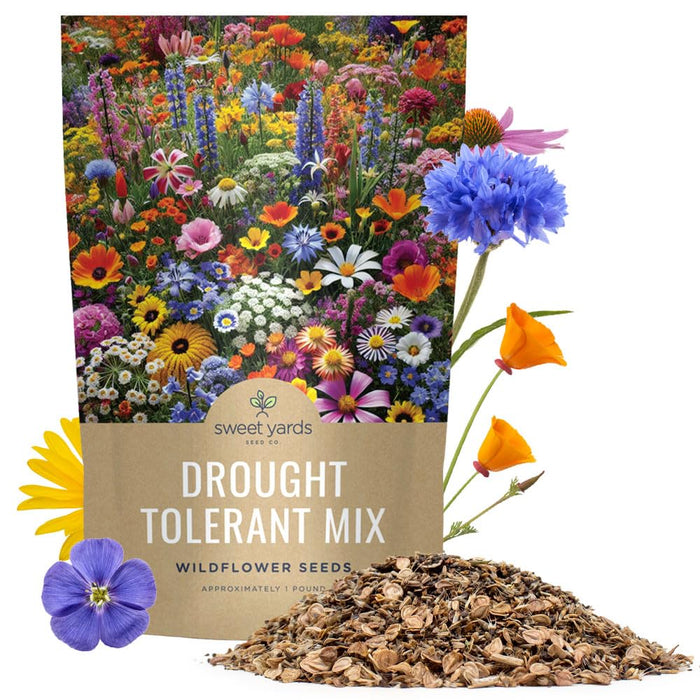 Drought Tolerant Wildflowers Mix – Bulk 1 Pound Bag – Over 120,000 Open Pollinated Non-GMO Seeds – 21 Different Dryland Species