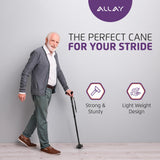 Allay Walking Cane for Men & Women - Foldable, Adjustable, Collapsible Walking Canes for Seniors Balance, Free Standing, Pivot Tip, Heavy Duty, with Travel Bag | Walking Sticks for Seniors & Adults