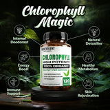 Benevolent Chlorophyll Capsules 700mg - 100% Natural + Ultra Chlorophyll 20x Potency Concentration for Energy Boost, Immune Support, Internal Deodorant, Skin Health, Non-GMO, 120 Capsules