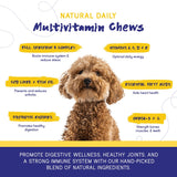 PupGrade Daily Multivitamin for Dogs - All-in-One Supplement for Digestive, Immune, Skin and Coat Health - 32 Healthy Nutrients, Probiotic Enzymes, Omega Fish Oil, Vitamins A, C, D & E - 30 Soft Chews