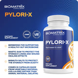 Pylori-X for H. Pylori Defense | Matula Tea Alternative w/Mastic Gum, Berberine, Zinc Carnosine, Bismuth Salts | Microbiome Balance, Digestive Relief (120 Capsules)