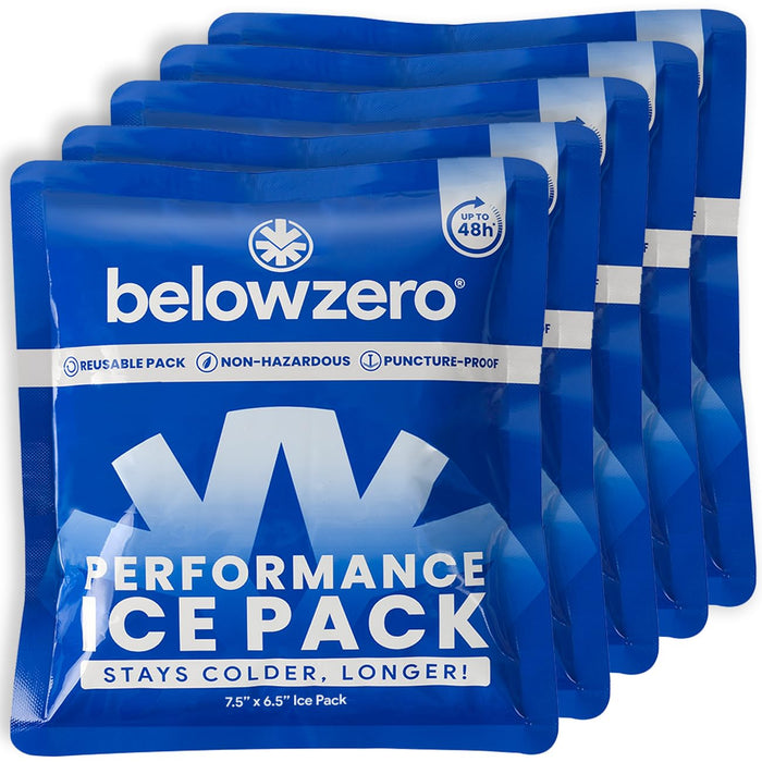 Below Zero Prefilled Reusable Ice Packs for Coolers | Long Lasting Freezer Ice Blocks for Camping, Lunch Bags & More | 48 Hour Cooler Ice Pack Technology | Small 7.5”x6.5” (5-Pack)