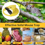 Mouse Trap Bucket - Multi-Catch, Auto-Reset, Humane or Lethal Rat Trap - Mouse Traps Indoor for Home - No Chemicals or Glue Needed - Durable ABS Material - 5 Gallon Bucket Compatible 2pcs