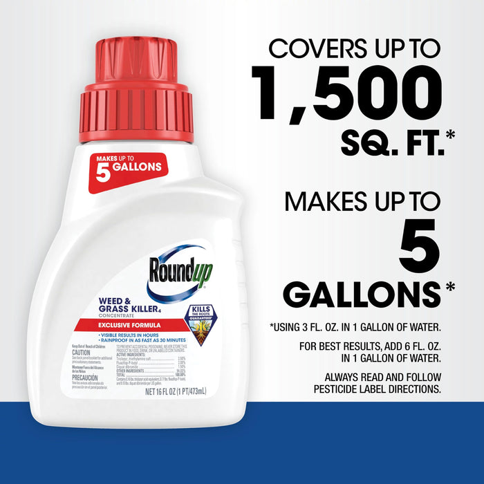 Roundup Weed & Grass Killer₄ Concentrate, Use In and Around Flower Beds, Walkways and other areas of your yard, 16 fl. oz.