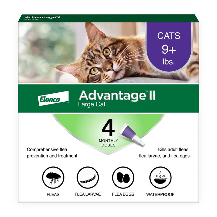 Advantage II Large Cat Topical Flea Treatment & Prevention, 4ct