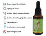 Dr. Judy Morgan's Dental Health Formula for Dogs & Cats, 1 fl oz (30 ml)