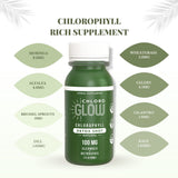 Chloroglow Liquid Chlorophyll Detox Shots | All Natural and Organic Plant Based Drink to Boost Energy and Straighten Your Immune System | Cleanses and Detoxifies - Green Apple (12 Pack)