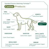 Standard Process - Canine Dermal Support - Healthy Skin for Dogs - 125 Grams