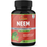 Organic Cadane Neem Leaf Supplements Capsules 2250 mg with Holy Basil Tulsi, Guduchi, 120 Vegetable Capsules | Supports Immune System | Fresh Pure Powder Leaves Herbs