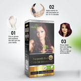 Herbishh Hair Color Shampoo for Gray Hair – Magic Hair Dye Shampoo – Colors Hair in Minutes–Long Lasting–500 Ml–3-In-1 Hair Color–Ammonia-Free (Burgundy)