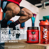 BSN CELLMASS 2.0 Post Workout Recovery with BCAA, creatine, & glutamine - Watermelon, (50 Servings)