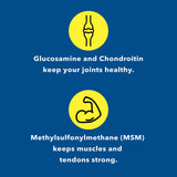 Healthy Joints System Glucosamine Chondroitin MSM Supplement for Joint and Bone Health - 240 Tablets