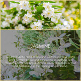 Jasmine Essential Oil 4 Fl Oz (120ml), SALKING Pure & Natural Fragrance Oils, Aromatherapy Jasmine Oils for Diffusers, Candle Making, Soap