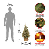 National Tree Company Pre-lit Artificial Mini Christmas Tree | Includes Small White LED Lights and Cloth Bag Base | Snowy Concolor Fir Burlap - 3 ft, Brown/Green