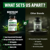 Benevolent Chlorophyll Capsules 700mg - 100% Natural + Ultra Chlorophyll 20x Potency Concentration for Energy Boost, Immune Support, Internal Deodorant, Skin Health, Non-GMO, 120 Capsules