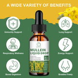 Mullein Drops for Lungs, Mullein Leaf Extract 1000MG for Respiratory, Immune & Digestion Support, with Quercetin, Marshmallow, Elderberry, Black Cumin Seed, Bromelain, Non-GMO, Vegan, 2 Fl Oz