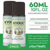 Kyolic Aged Garlic Extract Liquid - Odorless Garlic Supplements - Organic Kyolic Garlic - Organic Garlic Supplements - Immune Health (2 Pack)