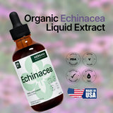 Echinacea 4 fl oz Liquid Extract - Organic Root, Leaf, Flower, Seed - Natural Herbal Supplement - Body, Immune System Support Tincture - High Potency Drops - 90-Day Supply - Family Size