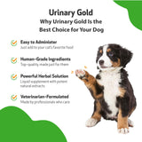 Pet Wellbeing Urinary Gold for Dogs - Vet-Formulated - Canine Urinary Tract Health, Supports Normal Urinary pH - Natural Herbal Supplement 2 oz (59 ml)
