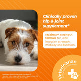 VetriScience Glycoflex 3 Clinically Proven Hip and Joint Support Supplement for Small Dogs - Maximum Strength Dog Supplement with Glucosamine, MSM, Green Lipped Mussel & DMG - 60 Chews,Chicken Flavor