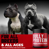 Bulk UP Your Pit Bull | Real Meat Protein Muscle Bulker | 283mg Pure Protein Powder for Dogs| Daily Protein for Your Pitbull, Bully, 30 Day Supply (60 Servings) Dog Protein