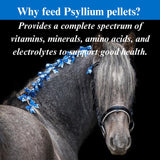 SU-PER Psyllium Pellets Equine Supplement - Maintains Healthy Digestive Tract in Horses - Supports Removal of Sand & Dirt from Intestinal Tract - 5 Pound, 1 Month Supply