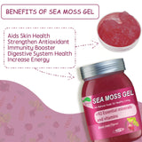 Sea Moss Gel Raw Organic,Real Sea Moss Gel with Irish SeaMoss,Wildcrafed Sea Moss Gel,Immune & Digestive Support,Vitamins & Minerals Supplement(Beet Root,18.5OZ)