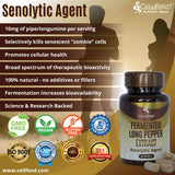 CellFend Fermented Long Pepper Extract – Senolytic Agent – with Piperlongumine – Potent 30:1 Extract - 60 Vegan Capsules (500mg)