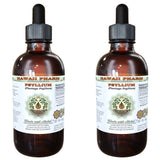 Hawaii Pharm Psyllium Alcohol-Free Liquid Extract, Psyllium (Plantago Psyllium) Dried Husk Glycerite Natural Herbal Supplement, USA 2x2 fl.oz